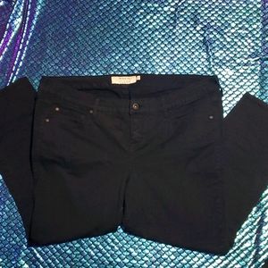 Torrid black pants